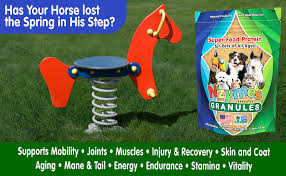 Check spelling or type a new query. Amazon Com Nzymes Sprouted Granules 1lbs For Dogs Cats Horses And Companion Pets Raw Super Food Protein And Antioxidant Nutrition 110 Servings Made In The Usa Everything Else