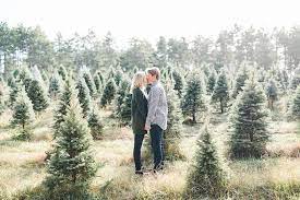 Christmas engagement pictures >> what to wear for winter engagement pictures. Hansen Tree Farm Fall Engagement Shanelongphotography Com