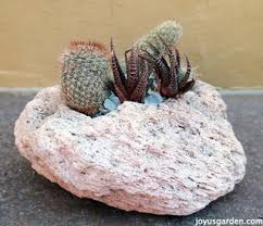 This project uses epoxy resin. How To Create A Cactus Dish Garden Keep Your Finger Spine Free 9 Steps With Pictures Instructables