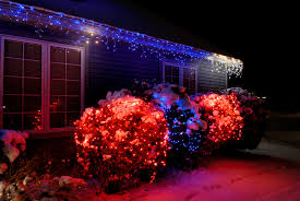 tips for decorating bushes with christmas lights home