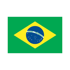 Article 30 states that, when in the flag is being marched or paraded (for example, when the national anthem is being played), everyone present must take a respectful attitude, standing in silence. Brazil Flag At 18 9 Within 4days