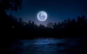 calma noite às rio com cheio lua e árvores dentro silhueta 21701407 Foto de  stock no Vecteezy