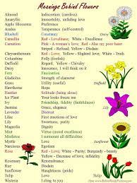 Check spelling or type a new query. Writing Symbolism Of Flowers Poppy Flower Meaning Orchid Meaning Pansies Flowers