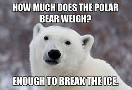 Needless to say i am significantly over the 20%. Yeah Polar Bears Are Actually Funny 11 Pics 17 Gifs Izismile Com