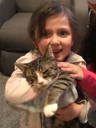 Lost pet in Millcreek area