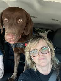 Hi friends! This is my dear sweet baby, Diana Jane. We're currently looking  for training services. Does anyone have any recommendations?