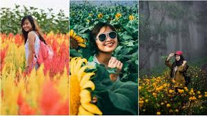 Book matahari hotel, yogyakarta region on tripadvisor: 5 Kebun Bunga Instagramable Di Yogyakarta Yuk Ke Sana Citizen6 Liputan6 Com