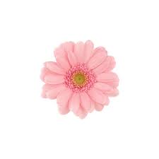 Polyvore Flower Graphic Design Flower Icons Flower Aesthetic