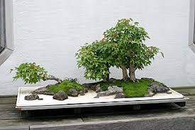 People could venture to scots landscaping in vienna, where the club often holds meetings. Saikei Wikipedia