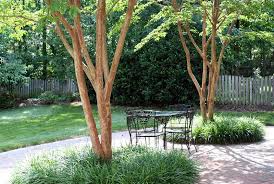 If you have large trees in your backyard, you must try this simple backyard layout idea. 22 Tree Shade Landscaping Ideas For Your Yards Home Design Lover