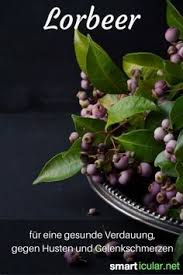 Lorbeer Vom Heldenkranz Zum Kuchenwunder Lorbeerol Gewurze Und Krauter Rohkost Rezepte