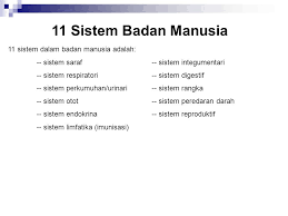 Tubuh manusia adalah organisma tunggal, di mana tindakan semua organ dan sistem saling berkaitan. Dr Norlena Salamuddin Universiti Kebangsaan Malaysia Ppt Video Online Download