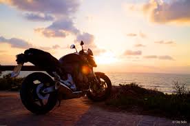 Explore charlotte hornets desktop wallpaper on wallpapersafari | find more items about charlotte the great collection of charlotte hornets desktop wallpaper for desktop, laptop and mobiles. Best 47 Hornet Wallpaper On Hipwallpaper Hornet Wallpaper Green Hornet Wallpaper And Honda Hornet Wallpapers