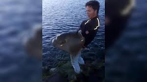 Kenny Vangt Pijlstaartrog Van 15 Kilo Bij Neeltje Jans Ik Wist Niet Wat Ik Meemaakte Omroep Zeeland