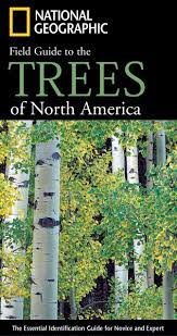 We've put together some details to help you learn about the most common trees that can be found here in north with about 90 species in the usa and another 160 species in mexico, the largest variety of those species can be found here in north america. National Geographic Field Guide To The Trees Of North America The Essential Identification Guide For Novice And Expert Rushforth Keith Hollis Charles 9780792253105 Amazon Com Books