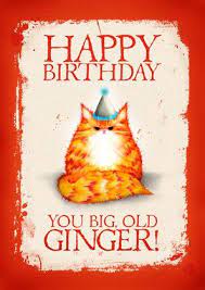 Pin On Happy Birthday Comments