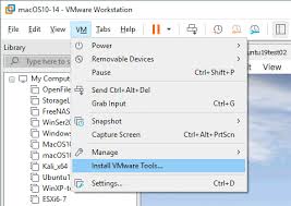 Choose vm > install vmware tools. How To Install Vmware Tools On Different Guest Oss Full Overview
