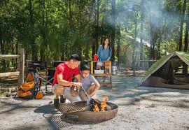 Maybe you would like to learn more about one of these? Topsail Hill Preserve State Park Florida State Parks