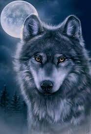 Wolfskopf Vor Mond 2020 Cilgin Disi Kedi Hayvan Cizimi Hayvan