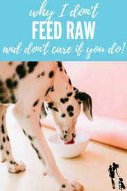 We've got 6 easy steps in our raw feeding primer. Why I Don T Feed My Dogs Raw But Couldn T Care Less If You Do Oh My Dog