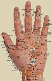 hand chart to map acupressure points and organs