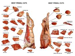 35 Accurate Butcher Cuts Of Beef Chart