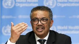 tv100 Video izle... tv100 video Kanalı ile Eğlendirici ve öğretici Videolar  İzle