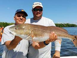 Looking for st.petersburg fl fishing charters, charter fishing st.pete florida, weather, boat ramps or reef locations? Florida Reels Fishing Charters St Petersburg Updated 2021 Prices Fishingbooker