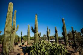 His participation in the riot led lawmakers in his home state to consider cutting off his access to the west virginia statehouse. 10 Weird Arizona Laws You Won T Believe Existed When In Your State