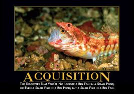 Teach me to fish and i eat for a lifetime. Small Fish Quotes Quotesgram