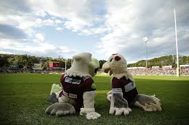 Personalised plates now available from ppq. Every Nrl Mascot Ranked From Worst To Best