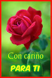 Amantes De Las Flores y Plantas - Con cariño para ti. | Facebook