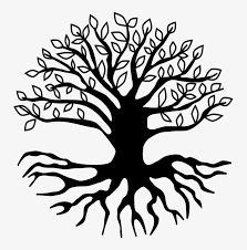 Draw cylinders over the lines to form the tree trunk. Root Tree Branch Drawing Leaf Tree With Roots Clipart Png Transparent Png 729x750 Free Download On Nicepng