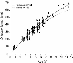 And added a new version (athletic petite). Estimated Von Bertalanffy Growth Curves For Females Back Symbols And Download Scientific Diagram