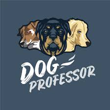 DOG Professor Éducateur Comportementaliste Canin