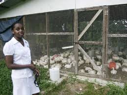My work is close to this location so we were all so excited to get a new lunch place nearby. Poultry Operation Healthy For Infirmary Residents Business Jamaica Gleaner