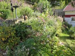 Die aussteller präsentieren eine große vielfalt an. Garten Im September Hanggarten 1 600 Muhvie De Garten Balkon Genuss