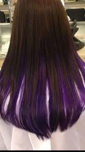 Brown With Purple Inside Love It Long Hair Styles Hair Hair Styles