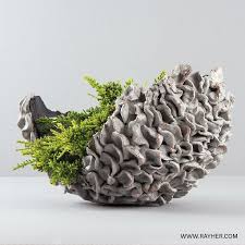Pflanzschale Aus Rayher Kreativ Knetbeton Concrete Crafts Cement Art Cement Crafts