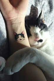 1001 Ideen Und Modelle Fur Schone Kleine Tattoos Cat Face Tattoos Minimalist Cat Tattoo Cute Cat Tattoo