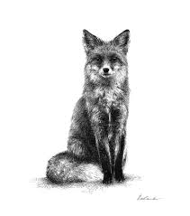 Ariane Relander Art On Instagram Tb Waiting Fox I M Back To Helsinki And Finally Planning A New Illustration Art Illustration Animal Art