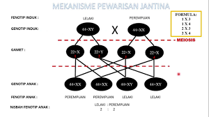 Buku teks sekolah agama johor.penggunaannya buku teks digital pendidikan islam tahun 6 ini sangat mudah kerana dengan hanya menaip judul buku atau isu berkaitan dalam hanya beberapa saat maklumat daripada buku tersebut akan terpapar para guru hanya perlu bijak dalam mengendalikan buku teks digital untuk menarik perhatian pelajar supaya tidak hilang tumpuan semasa proses. Millard Ayo Com Chu Jantina Anak Mengikut Kalendar Cina