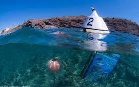 After booking, all of the property's details, including telephone and address, are provided in guests can swim in the outdoor swimming pool, go hiking, or relax in the garden and use the barbecue facilities. Le Sentier Sous Marin Le Cap D Agde Cap D Agde Mediterranee