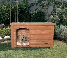 You can see through the window. 15 Best Modern Dog Houses Ideas Dog Houses Modern Dog Dog House