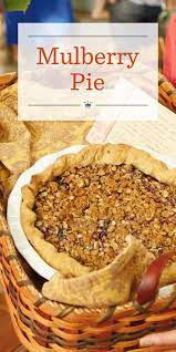 Mulberry Pie Recipe Mulberry Recipes Mulberry Pie Berries Recipes