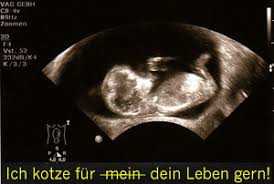Was hilft bei schwangerschaftsübelkeit und erbrechen? Buchshop Geburt Schwangerschaftsubelkeit Hyperemesis Fidibus Verlag Bucher Zu Geburt Geburtshilfe Doulas Fur Hebammen Und Eltern