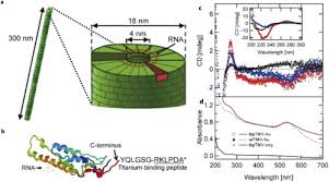 Tredz price match & hassle free 365 day returns. Osa Review Of Optical Sensing And Manipulation Of Chiral Molecules And Nanostructures With The Focus On Plasmonic Enhancements Invited