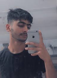 Roxi-Official Web-Developer