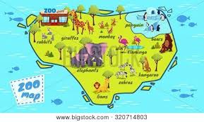 African jungle jungle life african jungle animals puzzles jungle forest jungle foliage zebra animal african herbs african jungle village african tropical rainforest plants african jungle map. Modern Zoo Map Vector Photo Free Trial Bigstock