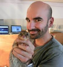 These males use all their energy trying to mate, then promptly die of  exhaustion